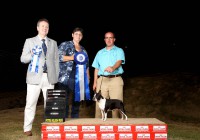 /album/valentina-h-r-barun-sallenrodmelhor-femea-e-jovem-ranking-cbkc-2016/img-1613-jpg1/