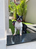 /album/familia-barun-sallenrod/img-2910-jpeg/